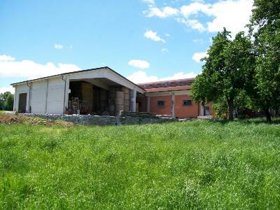 Cascina Fiorita Allevamento Bovini Razza Piemontese Cuneo